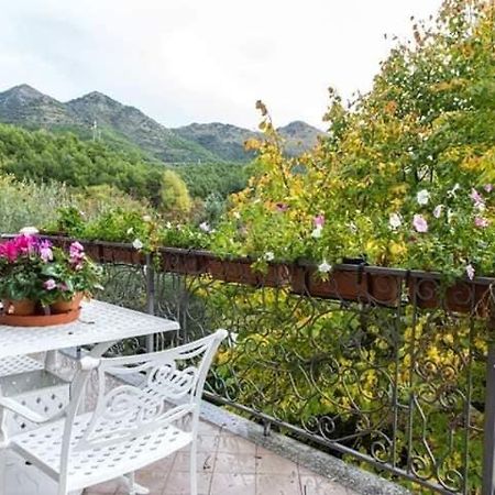 B&B Sant'Andrea Морано-Калабро Экстерьер фото